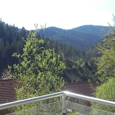 Ferienhaus Traumblick Hornberg